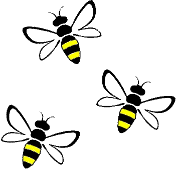 Bees