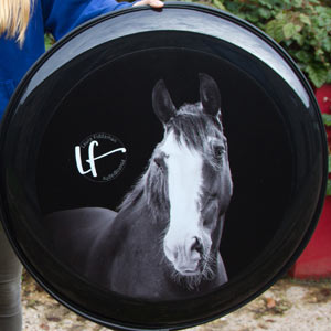 Horse wheel cover.