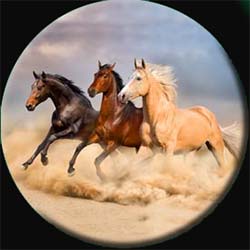 Running Horses Wheel Cover