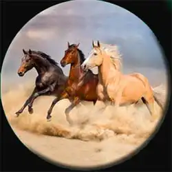 Running Horses Wheel Cover