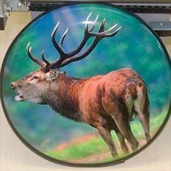 New Stag Wheel Covering