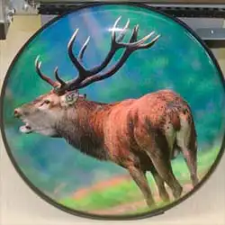 New Stag Wheel Covering