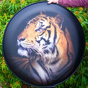 Tiger Car Tyre Cover