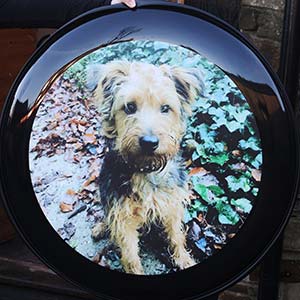 Cute Dog Wheelcover